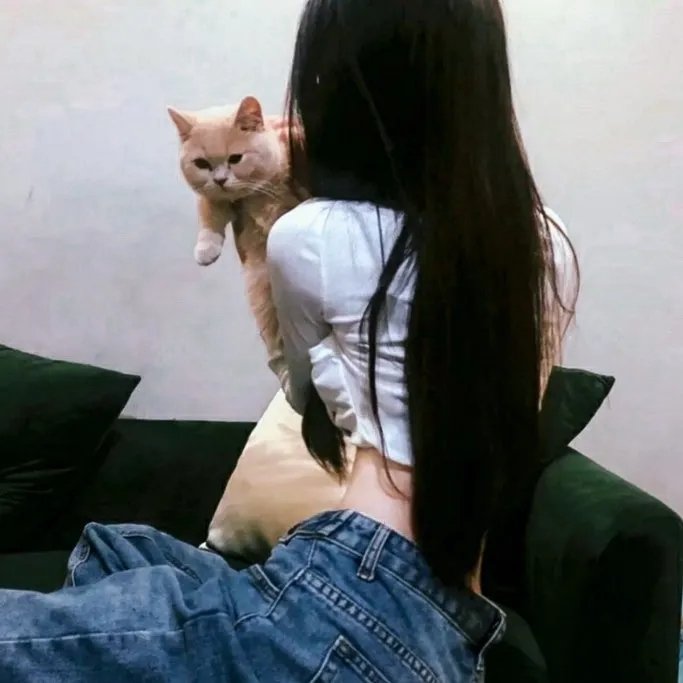 第八页
