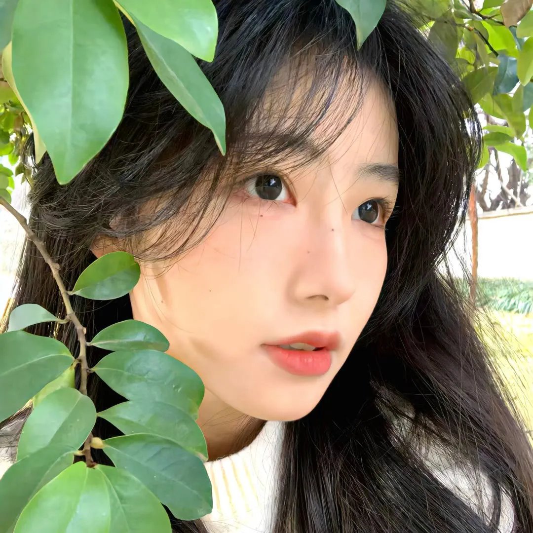 暹罗复兴录