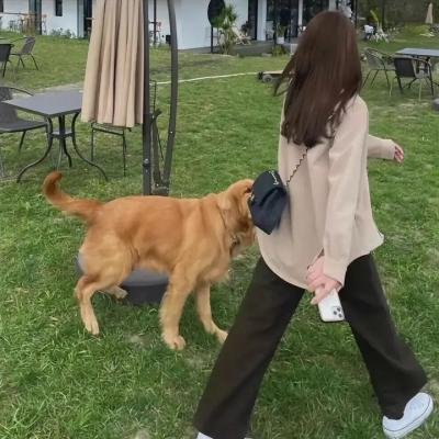 日常系的异能战斗